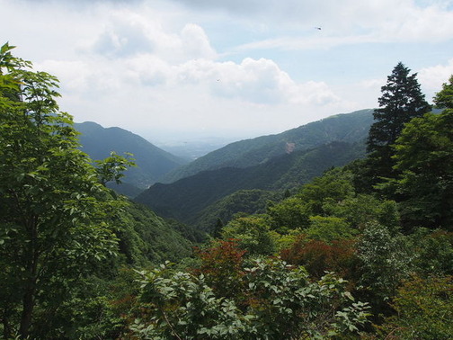 P7020022