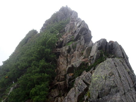 P8312081