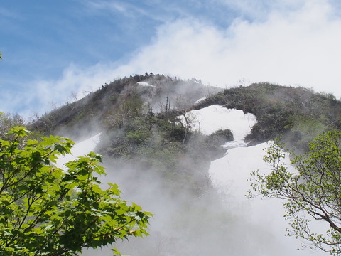 P5313848