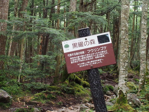P8140007