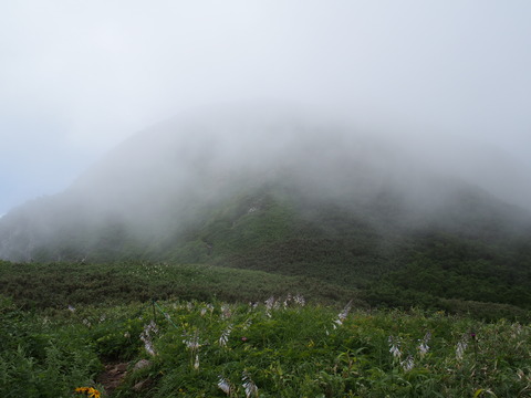 P7280036