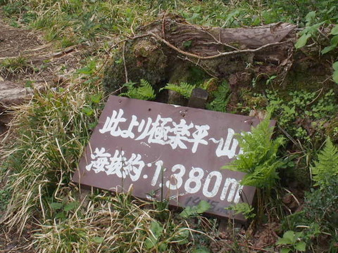 P6020237