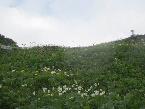 P8150192