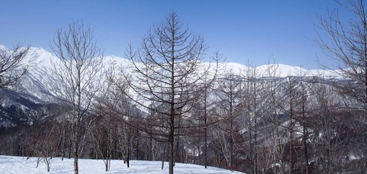 P3223184 パノラマ写真