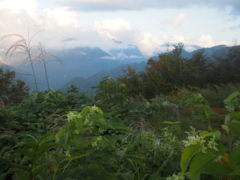 P9275379