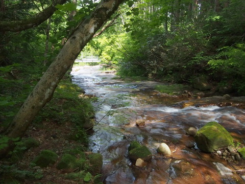 P5260023