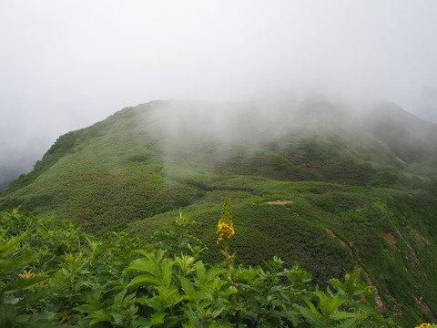 P7280067