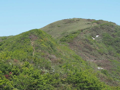 P6070193