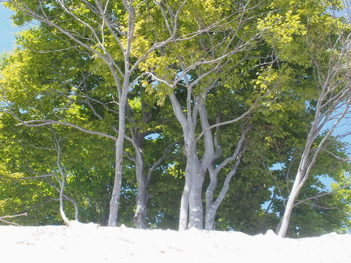 P5190038