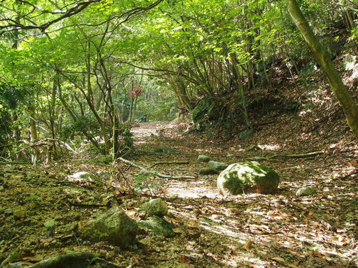 P7020008