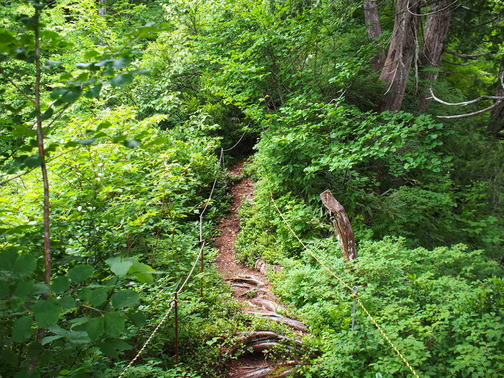P7070003