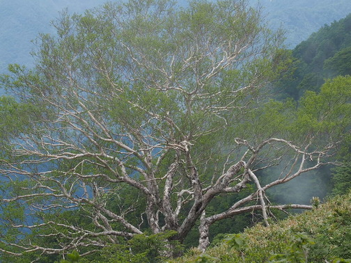 P6070221