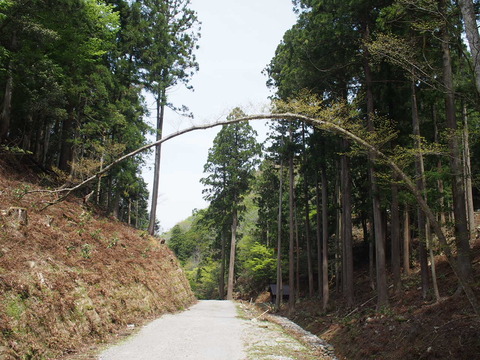 P4220067