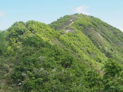 P6210038