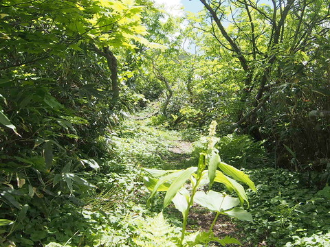 P6210051