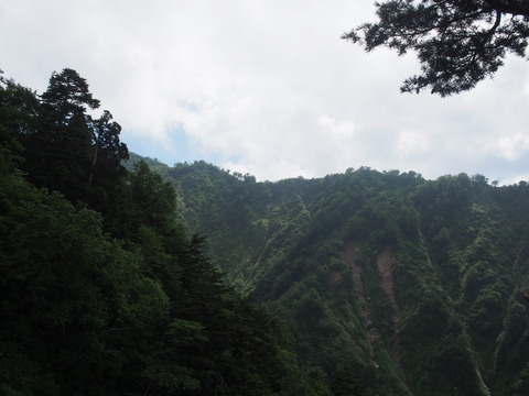 P7280073