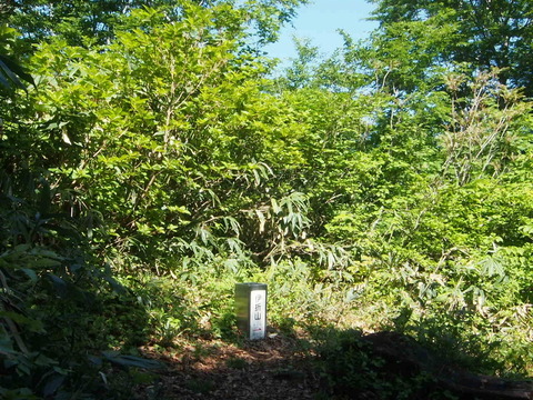 P6210016