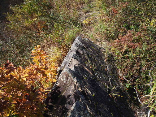 PA210034
