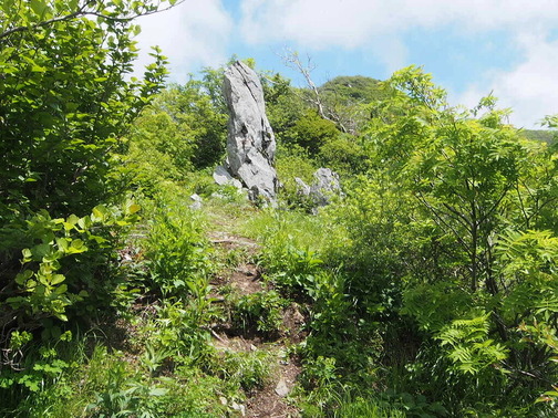 P6210058
