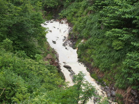 P7070004