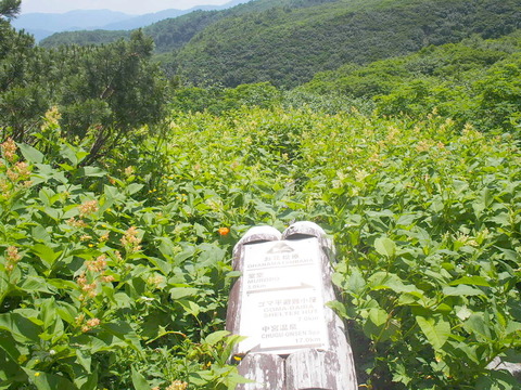 P8040032