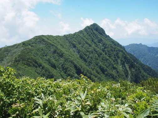 P7150037