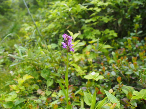 P7070056