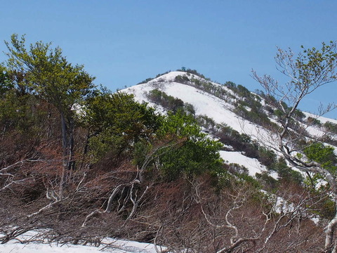 P5190061