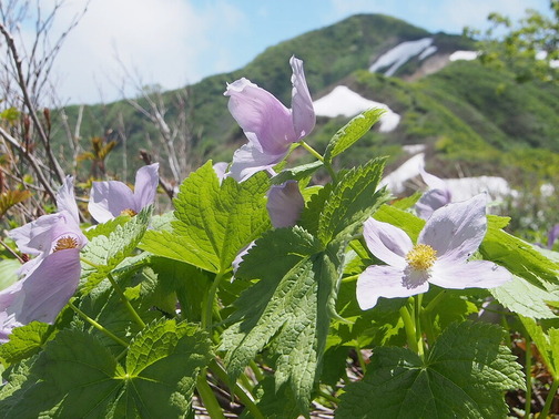 P6210046