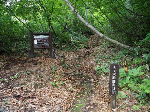 P7070002