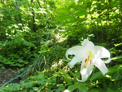 P6210008