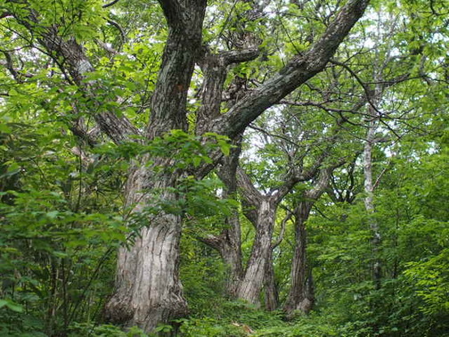 P6020246