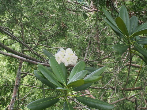 P7070072