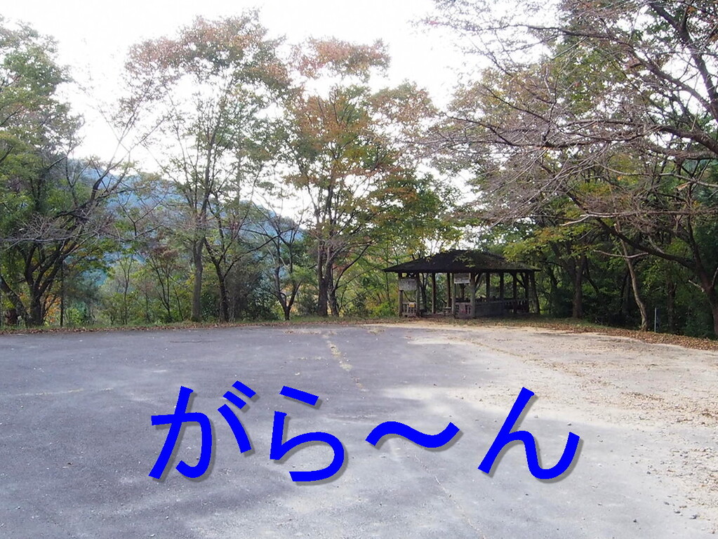 霊験あらたか 高賀山登山 分け入っても分け入っても白き山
