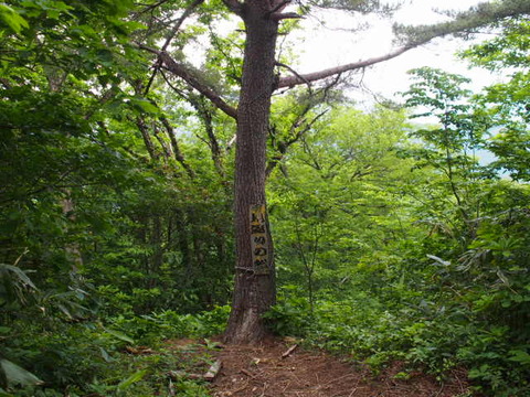 P6020243