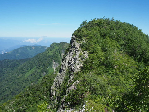 P7150024