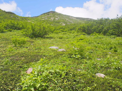 P8040054