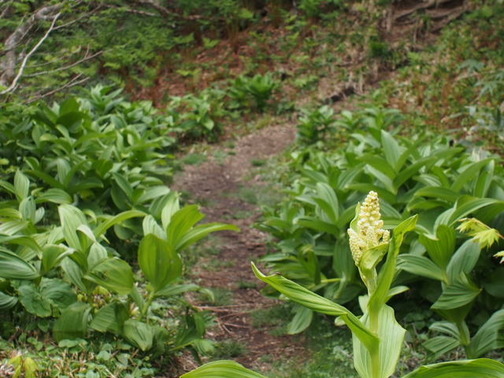 P6020276