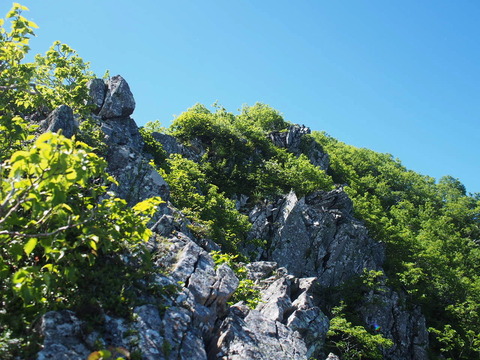 P7150022