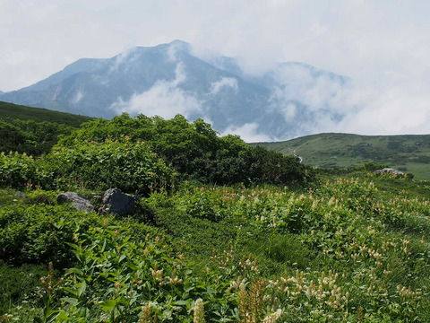 P8040006