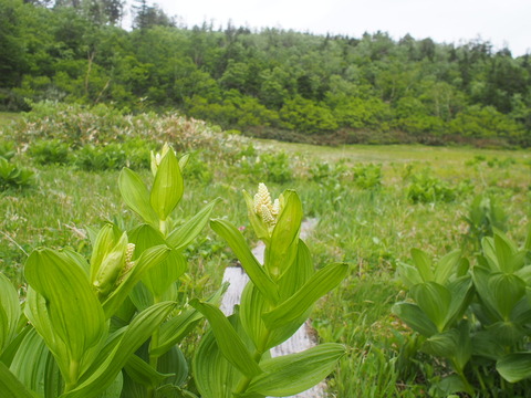 P7070042
