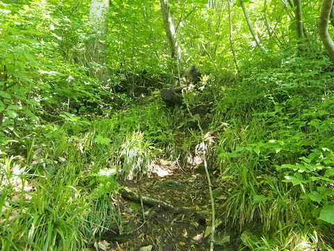 P6210009