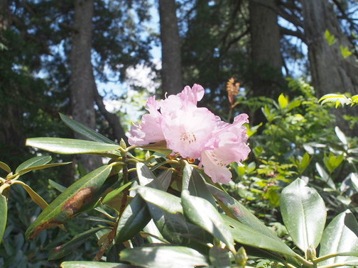 P5280129