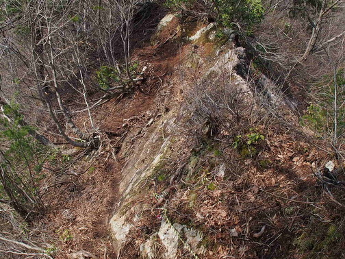 P4030133