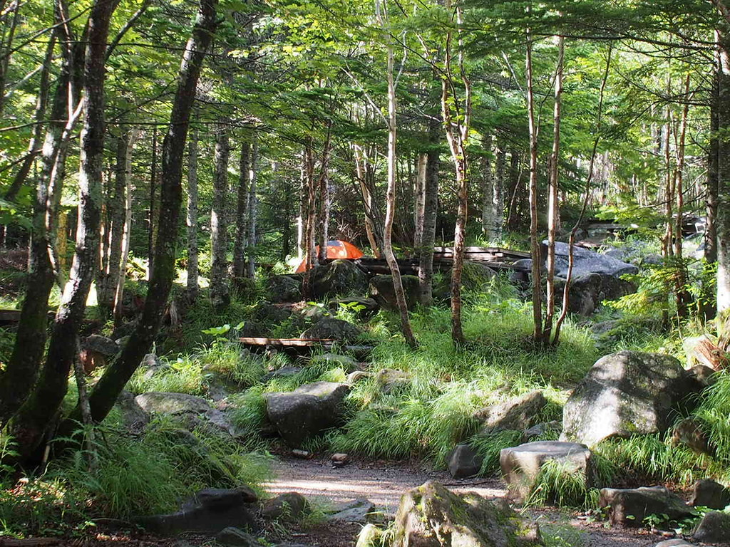 北八ヶ岳 白駒池と苔の森 分け入っても分け入っても白き山