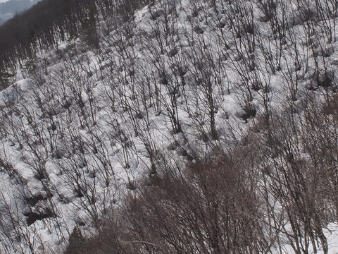 P3223212
