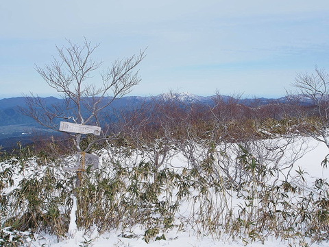 P4280030