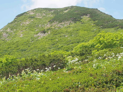 P8040035