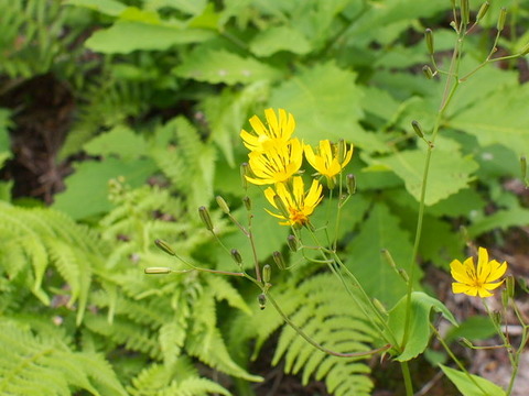 P6020233