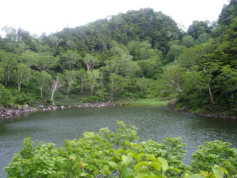 P7070049